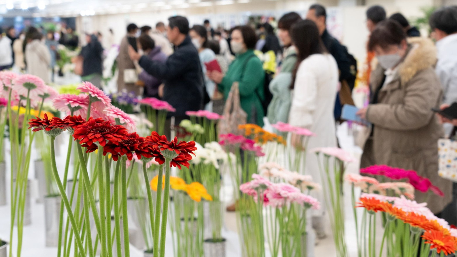 イベントのお知らせ【1/30～2/1関東東海花の展覧会】